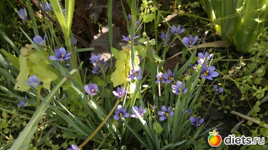 13 фото: Что выросло то выросло......