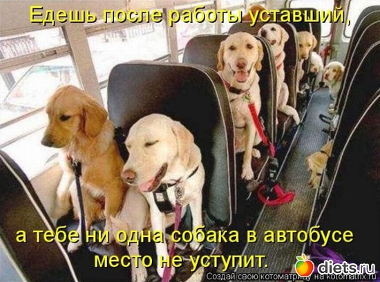 728 фото: То,от чего улыбка на лице)