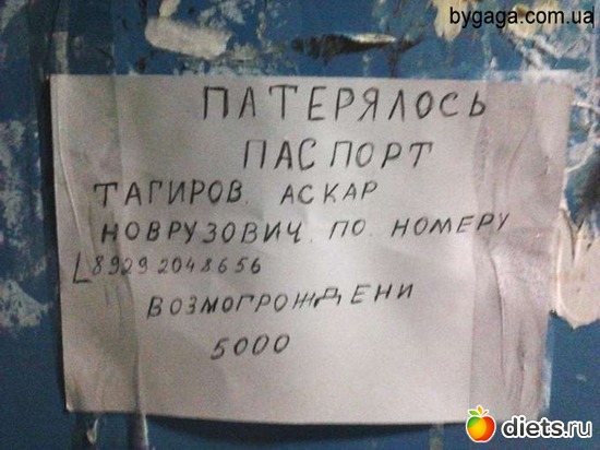 733 фото: То,от чего улыбка на лице)