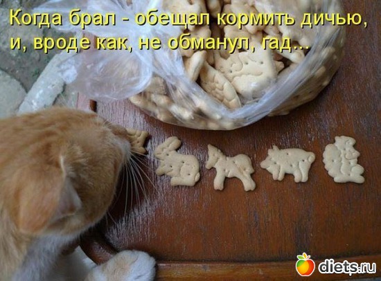 740 фото: То,от чего улыбка на лице)