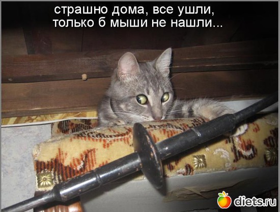 681 ����: ��,�� ���� ������ �� ����)