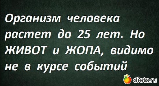 15, ������: �������