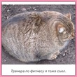 ������� ���, ���� � ��� ���������..:-)