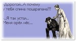 А жена мужику и говорит...