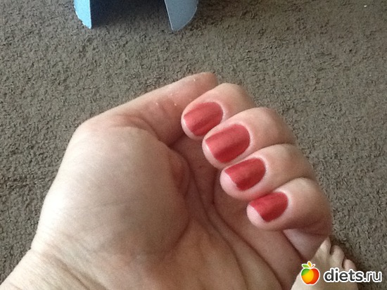 10 ����: ���������