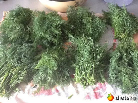 13 ����: ��� �����������