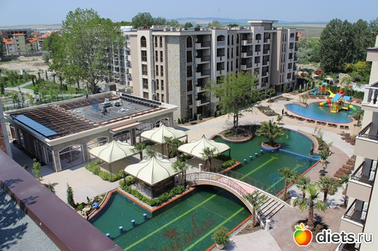 1 ����: �OLGARIA