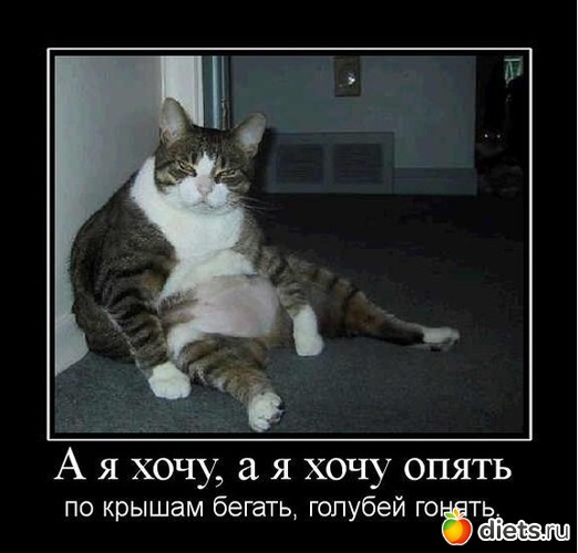 217 ����: ��� ���������.