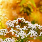 Визуализация. День 364.