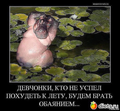 ��,�� ���� ������ �� ����)