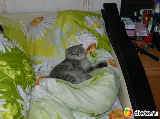 5 ����: ��� ������� Tomas