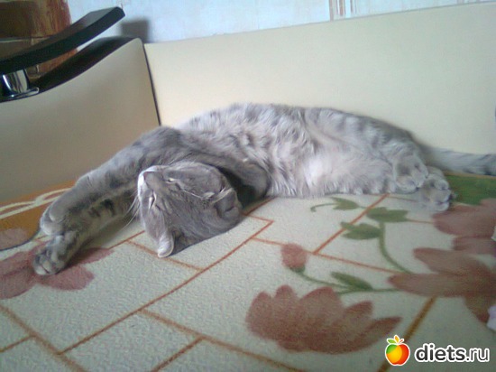 7 ����: ��� ������� Tomas