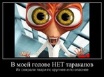 Тараканы, как от них избавляются?