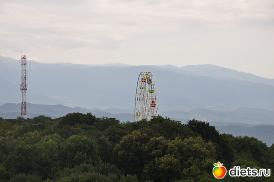 13 ����: ���