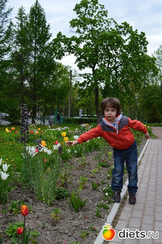 4 фото: В Петергофе с внуком. Июнь 2015