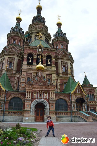 6 фото: В Петергофе с внуком. Июнь 2015