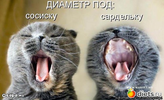 624 ����: ��,�� ���� ������ �� ����)