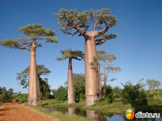 15 фото: Просто так...