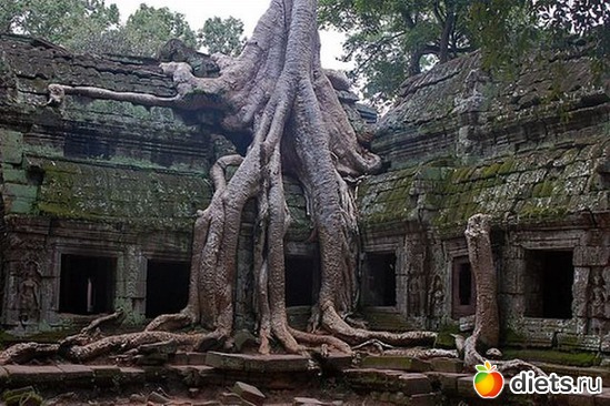 17 фото: Просто так...