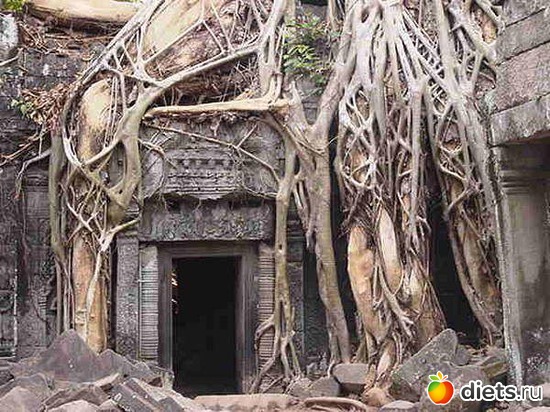 18 фото: Просто так...