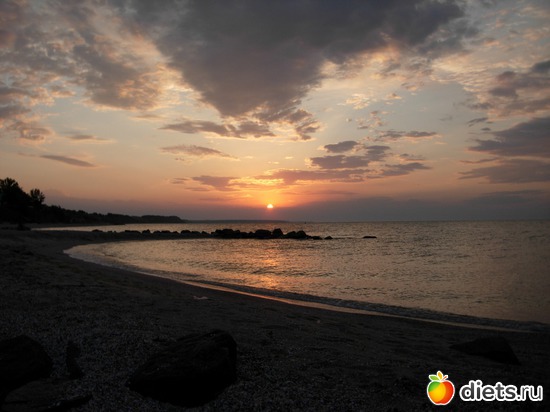 35 фото: Цветы