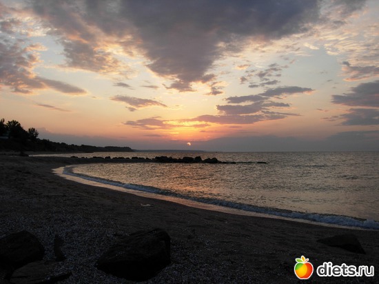 36 фото: Цветы