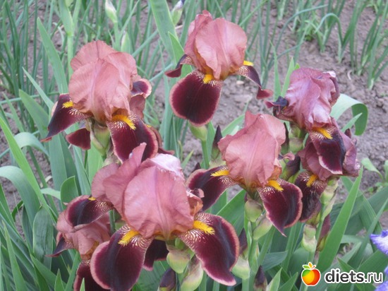 5 фото: .