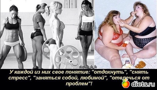 18 ����: ���������.