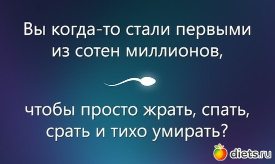 100 фото: Для вставок