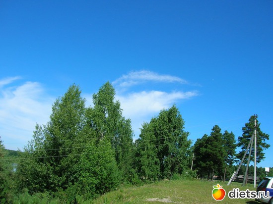 Красоты Сибири, альбом: природа