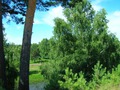 Полдень