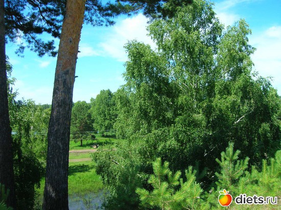 Полдень, альбом: природа