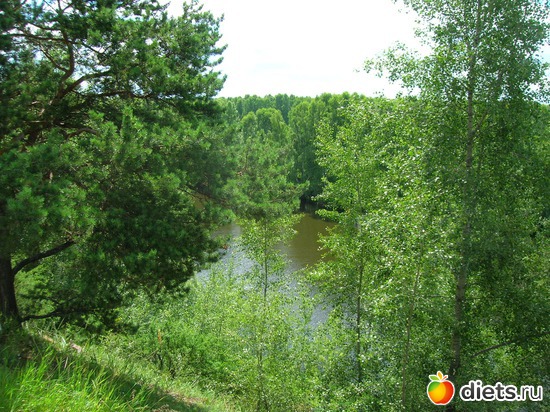 Прогулка, альбом: природа