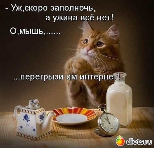 ������ ��������.