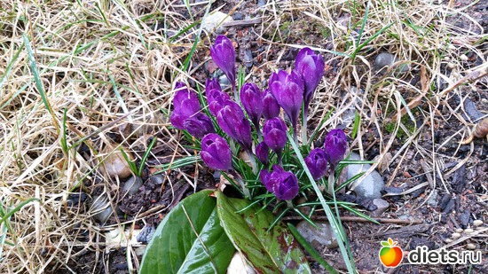 19 фото: Правильное питание с Натулиной кастрюлей