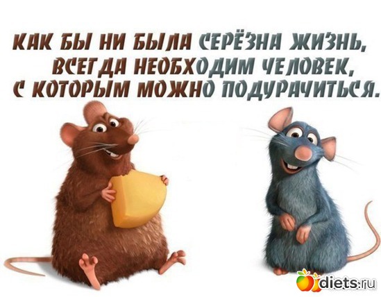 28 ����: ,,,