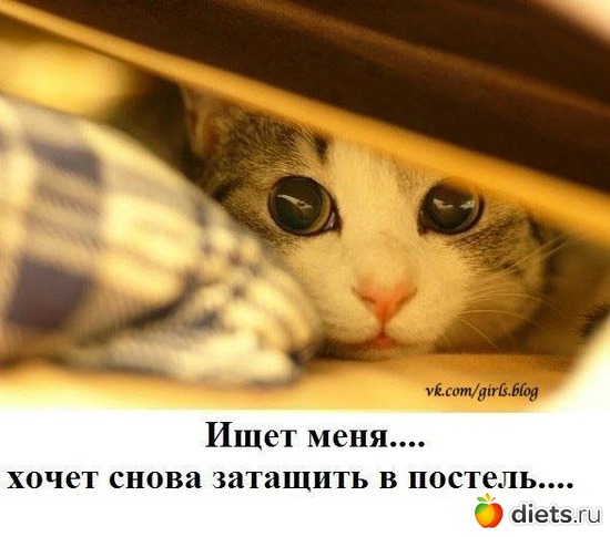 29 ����: ,,,