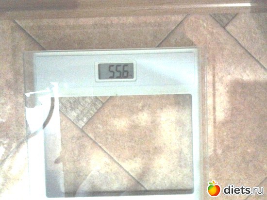 5 ����: ��� 2015