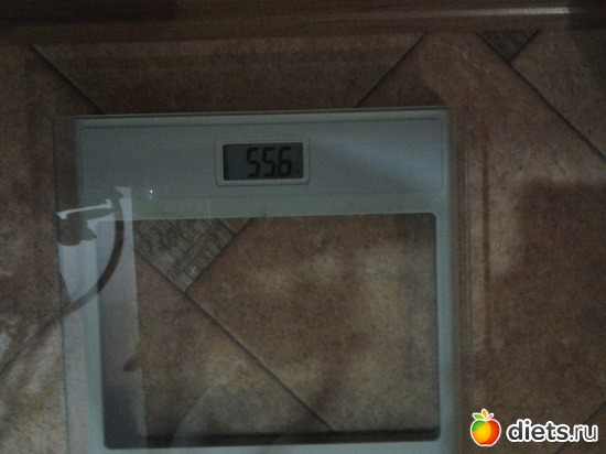 4 ����: ��� 2015