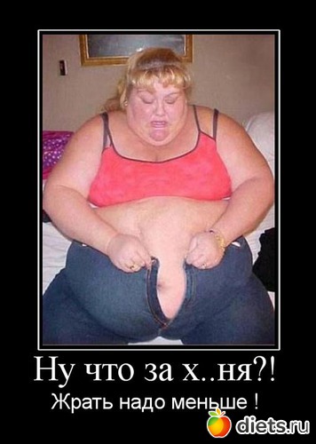 13 ����: ���������