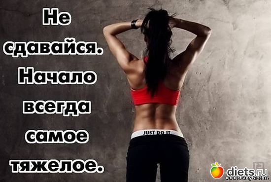 33 ����: ���������