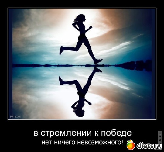 37 ����: ���������
