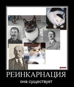  5     cec :  ...    ...  ...