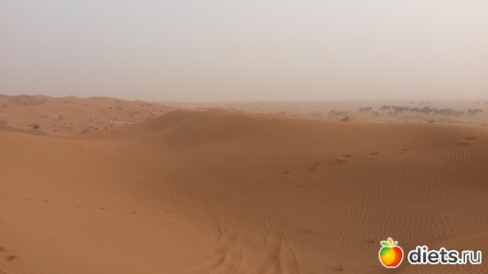 29 ����: ��� ����� �...� ��� �����...