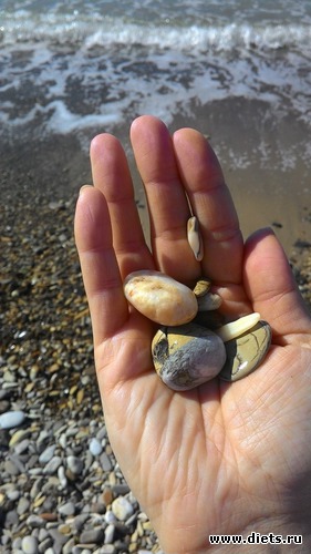 Сувениры с моря), альбом: Мои выходные. Всегда разные