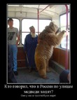 Это ложь, что в России все ездят на медведях
