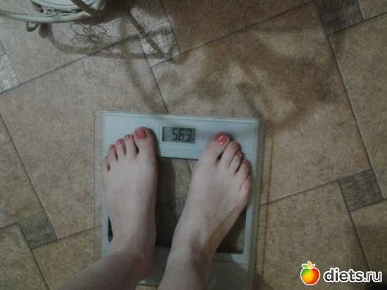 6 ����: ��� 2015