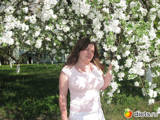 2 ����: ����