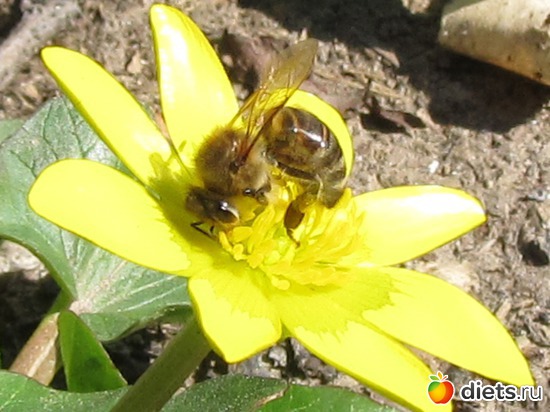 117 ����: �����-����-����� 2013 - 2015