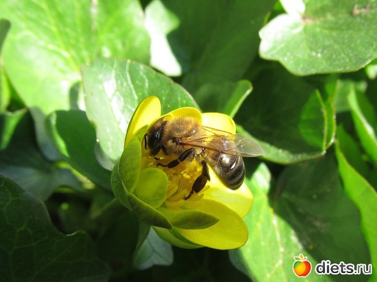 118 ����: �����-����-����� 2013 - 2015